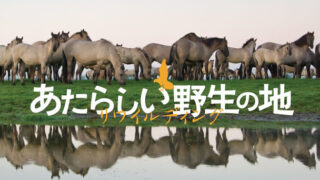 映画「新しい野生の地　リワイルディング」　５月２日（土）～5月10日(日)